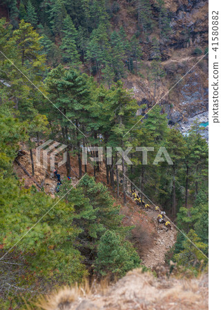 donkeys caary baggage and appliances donkeys caary baggage and appliances 41580882