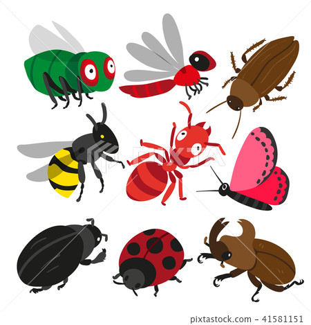insect character design 41581151