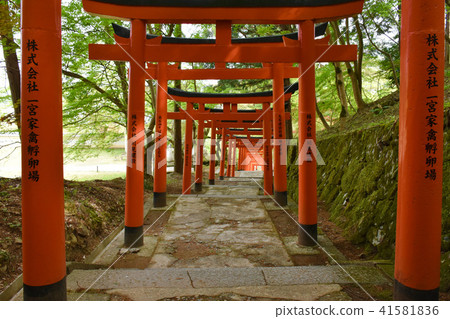 出石城遺址、城堡之丘、稻荷參道、紅色鳥居 出石城遺址、城堡之丘、稻荷參道、紅色鳥居 41581836