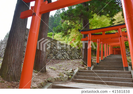出石城遺址、城堡之丘、稻荷參道、紅色鳥居 出石城遺址、城堡之丘、稻荷參道、紅色鳥居 41581838