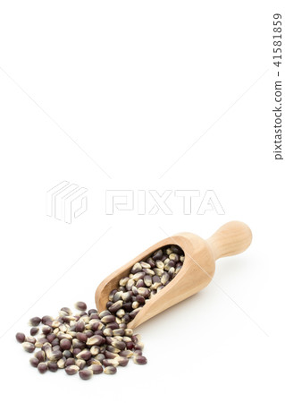 Black popcorn kernel: black popcorn kernels Black popcorn kernel: black popcorn kernels 41581859
