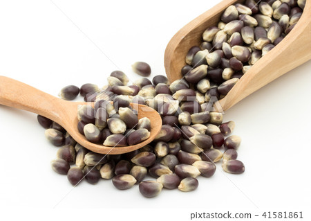 Black popcorn kernel: black popcorn kernels 41581861