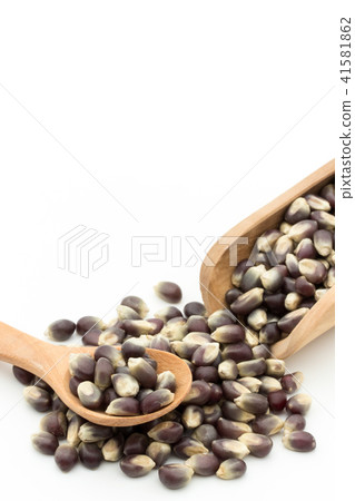 Black popcorn kernel: black popcorn kernels 41581862
