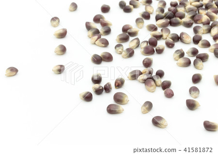 Black popcorn kernel: black popcorn kernels 41581872