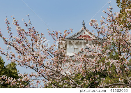 櫻花和akashi城堡的槳 41582063