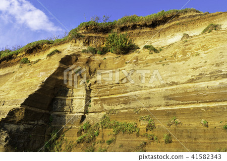 Senbogaura Oriental的Dover 41582343