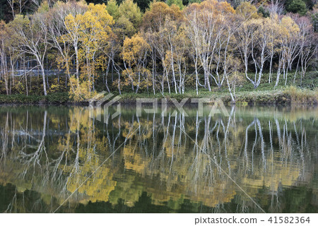 Water mirror Kido pond 41582364