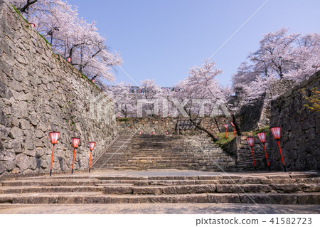 Tsuyama Park Tsuyama Cherry Blossom Festival ~ Tsuyama Castle ~ Tsuyama Park Tsuyama Cherry Blossom Festival ~ Tsuyama Castle ~ 41582723
