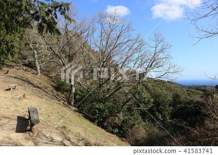 新娘路·Watarutai（Minamiboso） 41583741