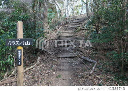 小名（南房總） 41583743