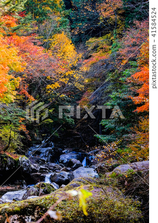 Odo名谷（秋季） 41584524