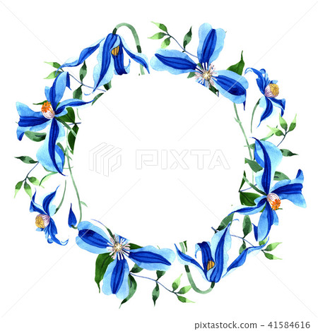 Blue durandii clematis. Floral botanical flower. Frame border ornament square. 41584616