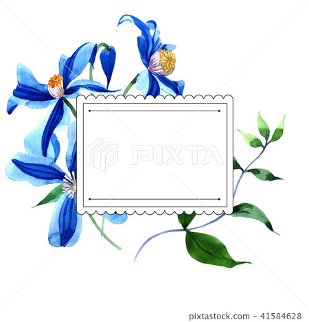 Blue durandii clematis. Floral botanical flower. Frame border ornament square. 41584628