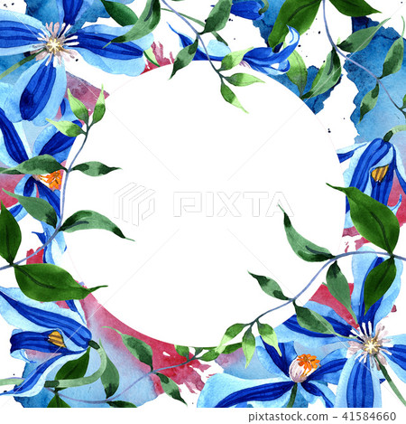 Blue durandii clematis. Floral botanical flower. Frame border ornament square. Blue durandii clematis. Floral botanical flower. Frame border ornament square. 41584660