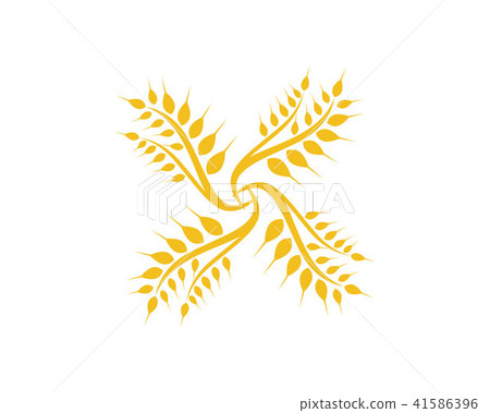 Agriculture wheat Logo Template vector icon design 41586396