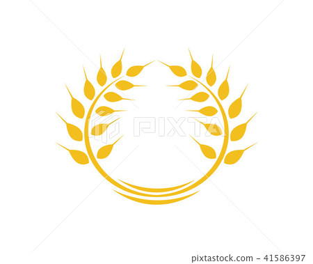 Agriculture wheat Logo Template vector icon design 41586397