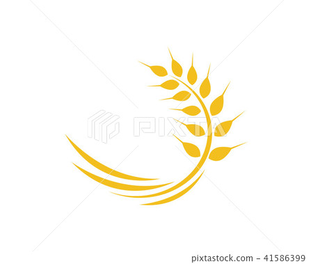 Agriculture wheat Logo Template vector icon design 41586399