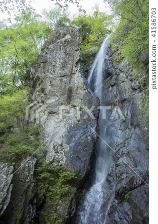 Hayato Falls, a famous waterfall in Tanzawa Hayato Falls, a famous waterfall in Tanzawa 41586703