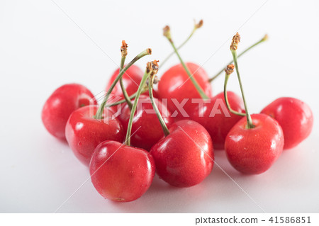 Cherries Sato Nishiki cherries 41586851