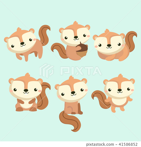 Little cute squirrel in different poses. 41586852