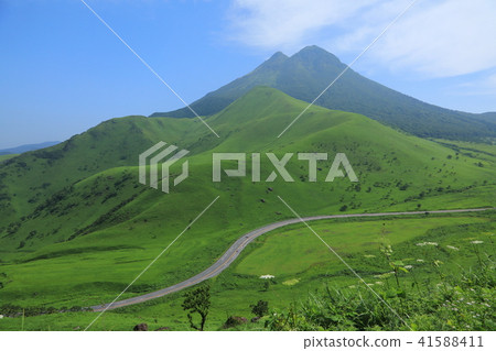 Yufudake in early summer (Yufuin-cho, Yufu City) 41588411