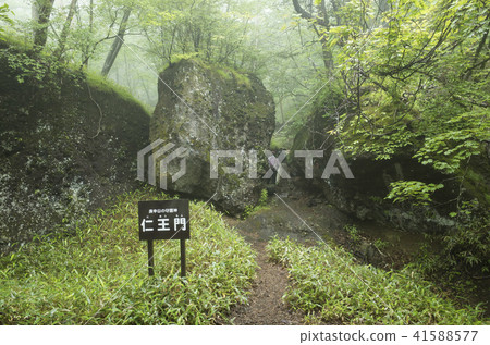 Kinshi Mountain Climbing Road Niimon 41588577