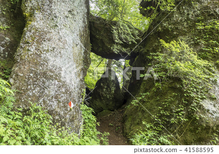 甲心山登山路線一之門 41588595