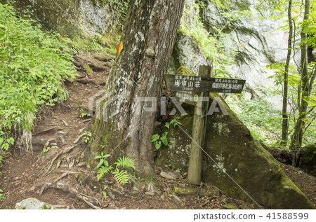 Koshinsan Mountain Trail: Junction between the summit and mountain walking courses Koshinsan Mountain Trail: Junction between the summit and mountain walking courses 41588599