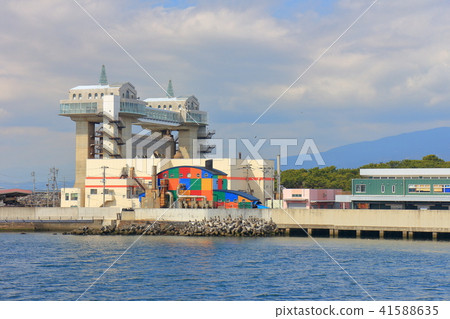 Numazu fish market 41588635