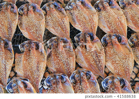 Hot horse mackerel dried 41588638