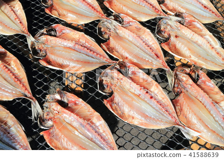 熱馬鯖魚乾 41588639