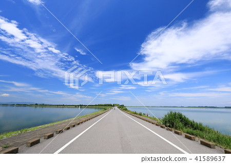 夏季渡良瀨水庫 夏季渡良瀨水庫 41589637