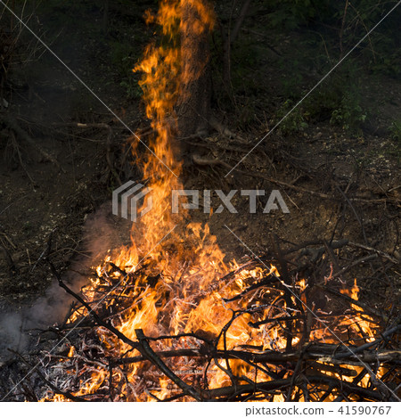 sparks of fire on a black background 41590767