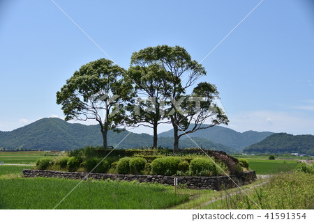Yoshibue Road Yoshibue Road 41591354
