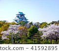 Osaka Castle and Sakura 41592895