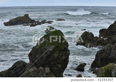 種差海岸鮫閣、 種差海岸鮫閣、 41593307