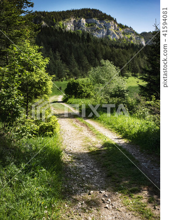 path to the sunny foothills of the valley 41594081