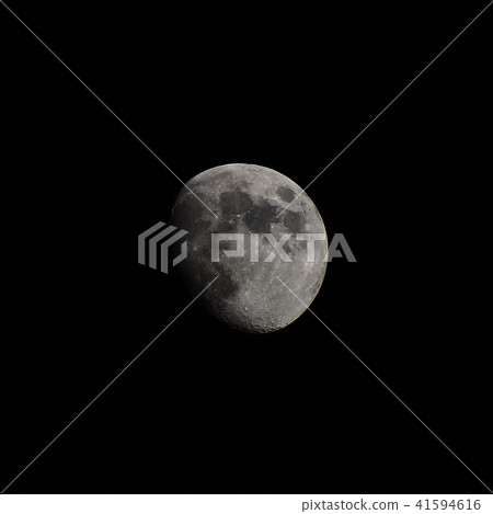 Moon (10.3 years old) Moon (10.3 years old) 41594616