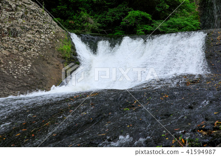 Ryumon Falls in early summer in Kokonoe Town, Oita Prefecture 41594987