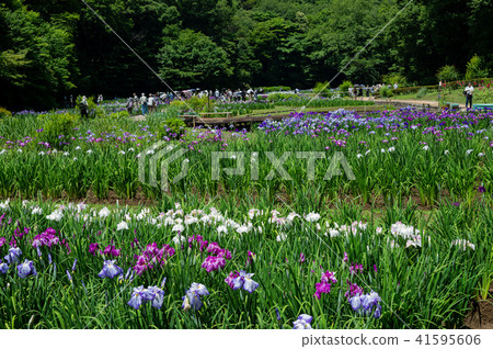 Fukiage Shoobu公園 Fukiage Shoobu公園 41595606