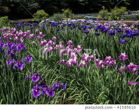 Fukiage Shoobu公園 Fukiage Shoobu公園 41595610