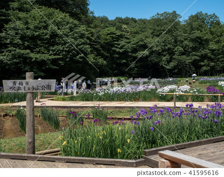 Fukiage Shoobu公園 Fukiage Shoobu公園 41595616