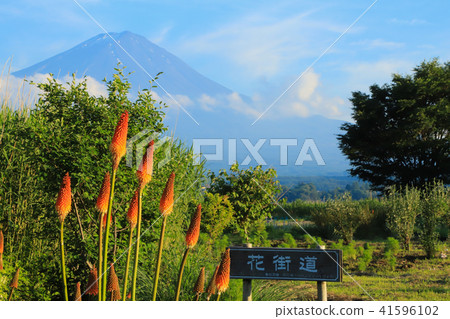大石公園 富士山和鳥托 大石公園 富士山和鳥托 41596102
