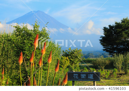 大石公園 富士山和鳥托 41596103