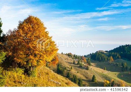 Autumn mountain landscape Autumn mountain landscape 41596342