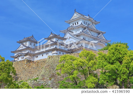 一個新鮮的綠色姬路城堡 41596590