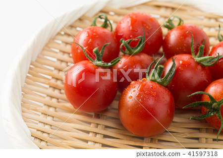 Mini Tomato Mini Tomato 41597318