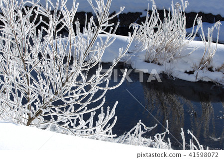 Winter in Satoyama: A morning of frost Winter in Satoyama: A morning of frost 41598072