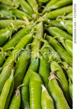 texture of green peas pods 41598592