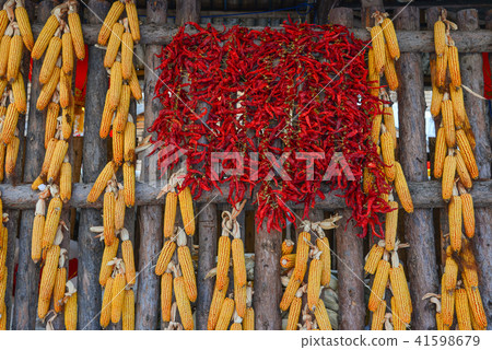 Hanging red chilli on wooden wall 41598679